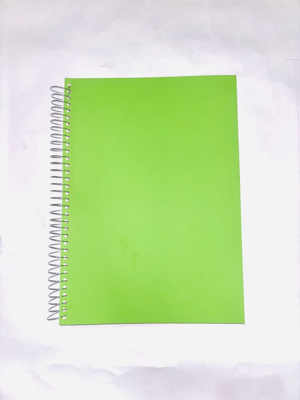 Lion Notebook