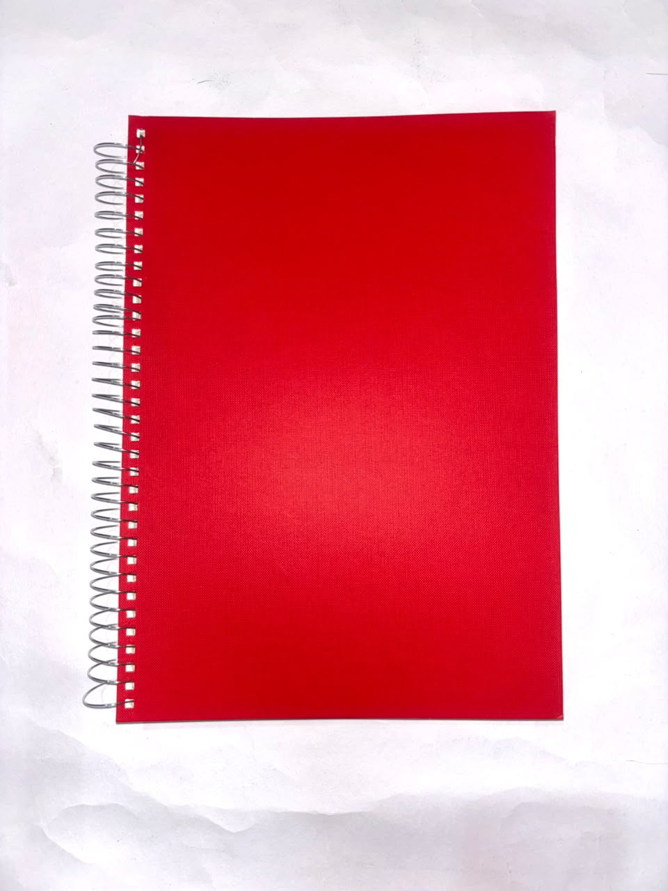 Lion Notebook