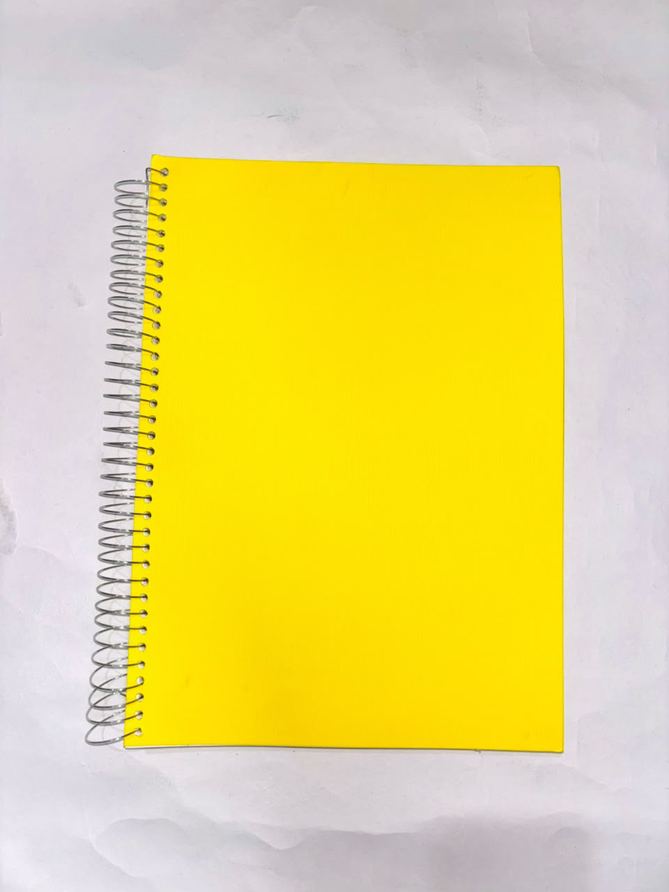 Lion Notebook