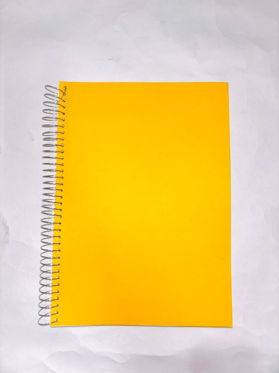 Lion Notebook