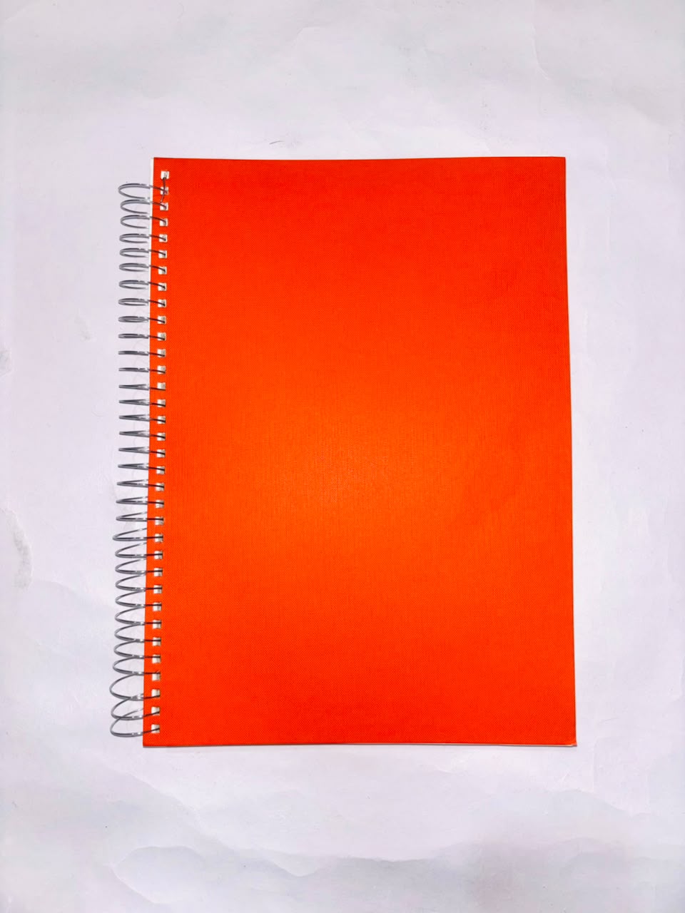 Lion Notebook